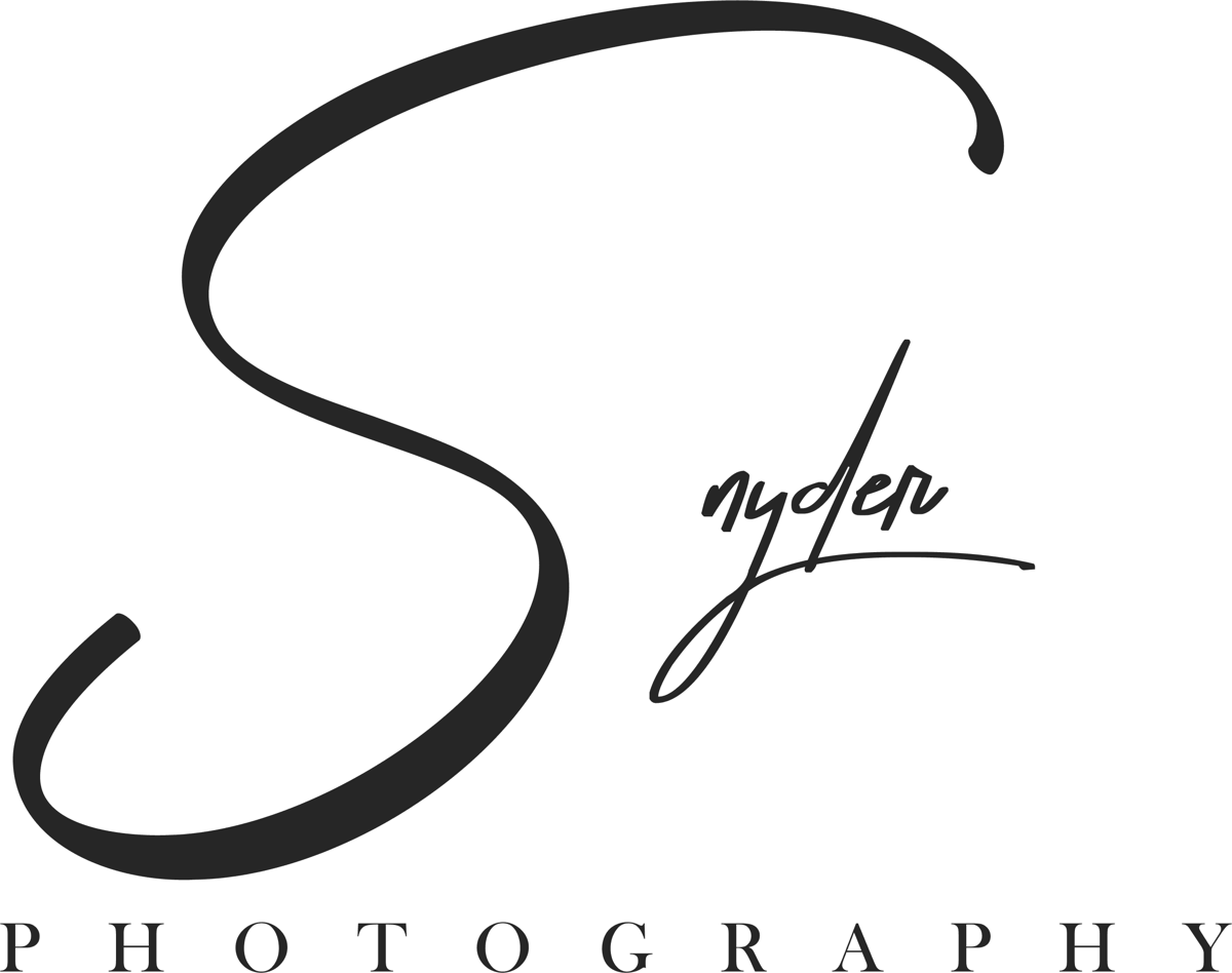 Snyder Photography